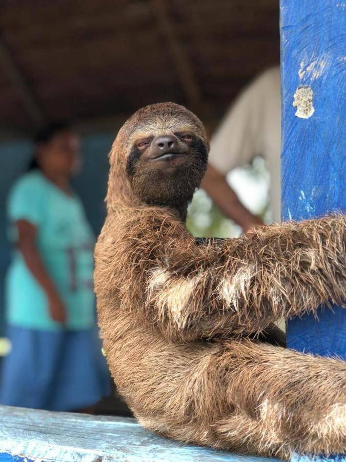 Hotel Yurupary Amazonas ليتيسيا المظهر الخارجي الصورة